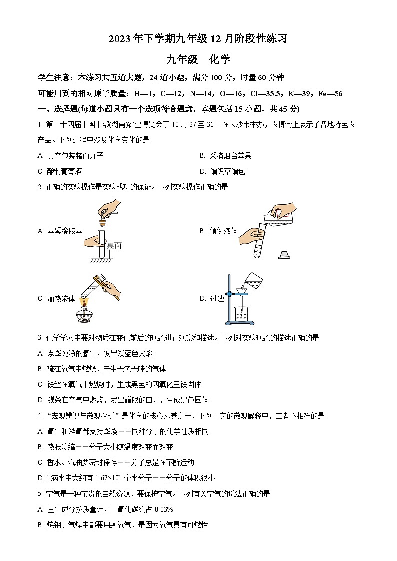 湖南省长沙市雅礼教育集团2023-2024学年九年级上学期12月月考化学试题（原卷版）-A4第1页