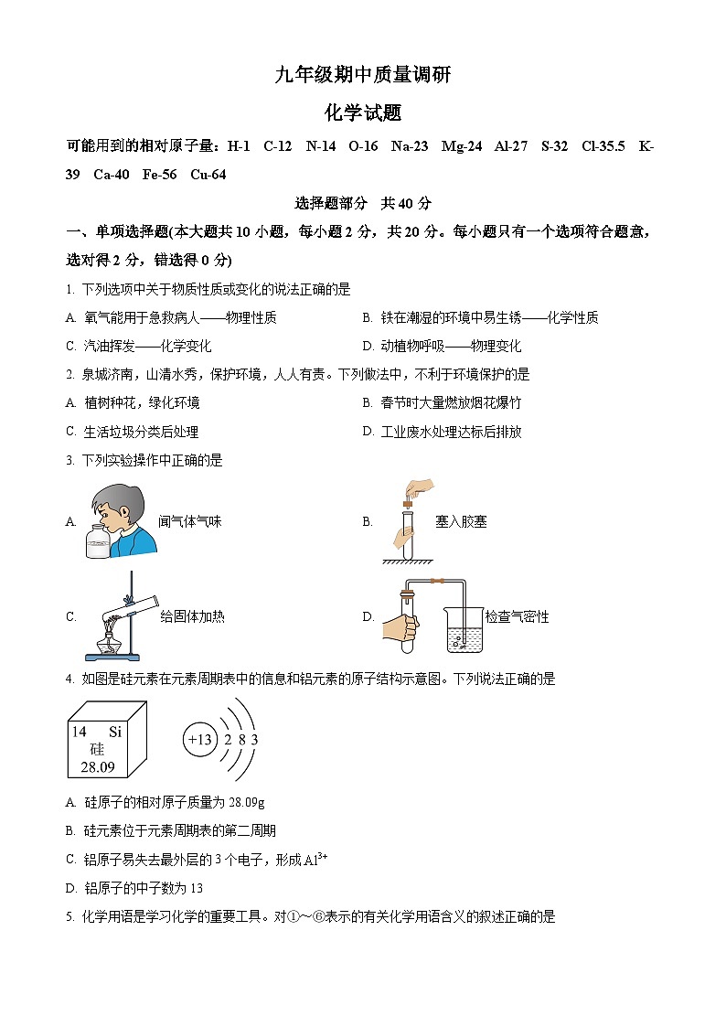 山东省济南市济阳区2024--2025学年九年级上学期期中考试化学试题第1页