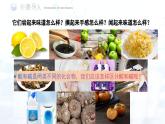 第十单元 课题1 溶液的酸碱性课件-2024-2025学年九年级化学下册（人教版2024）