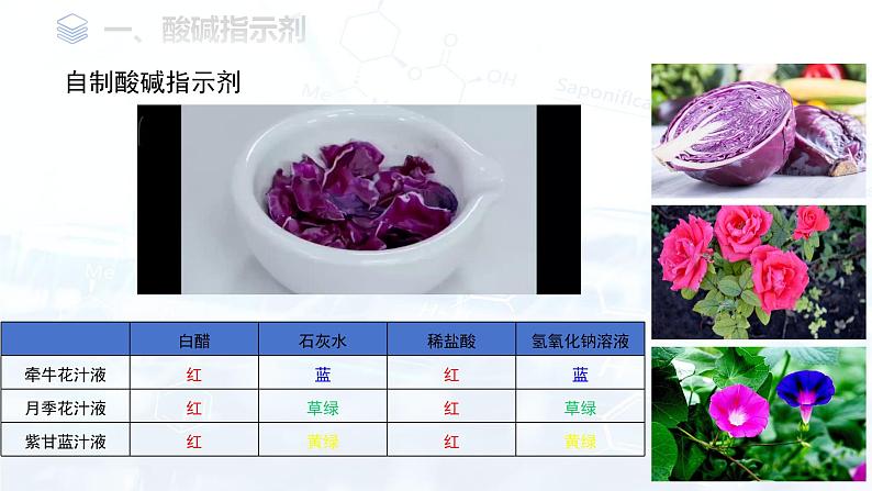 第十单元 课题1 溶液的酸碱性课件-2024-2025学年九年级化学下册（人教版2024）第6页