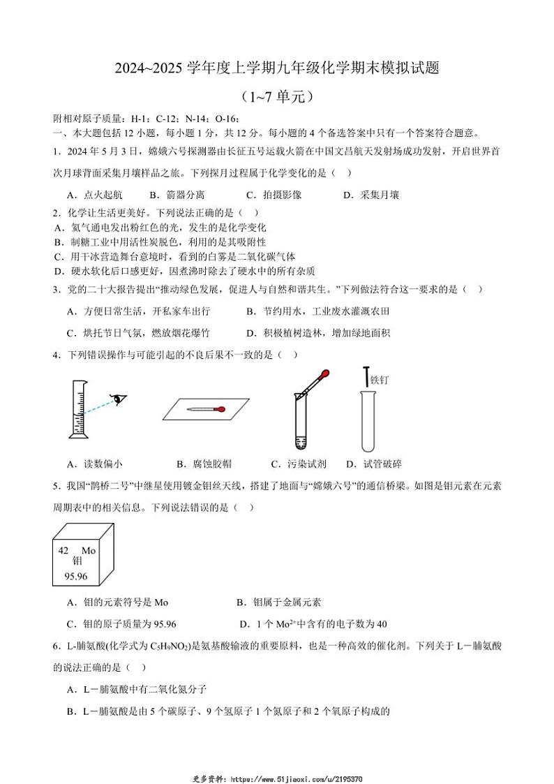 2024_2025学年安徽省合肥市望龙中学九年级(上)期末模拟化学试卷(含答案)第1页