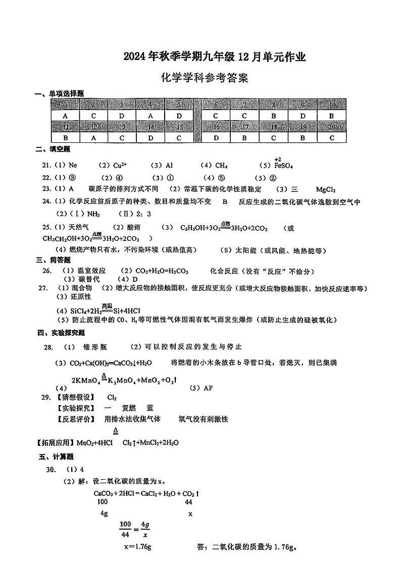 南宁天桃实验学校2024年秋季学期九年级12月月考参考答案第1页