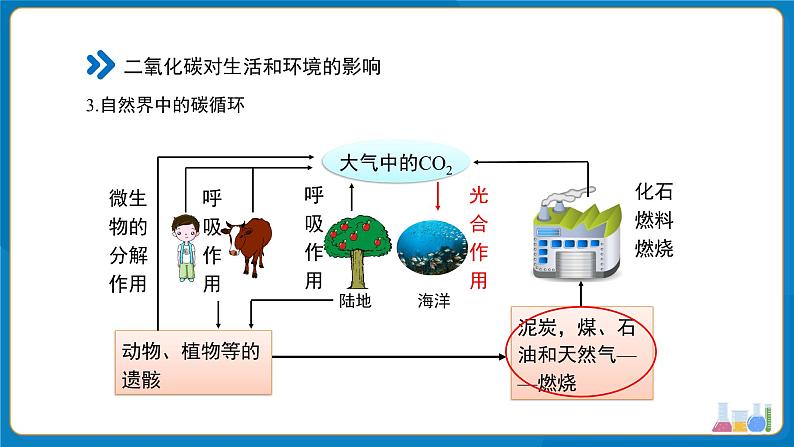 初中化学人教版九年级上册第六单元课题2 碳的氧化物 第2课时 课件第6页