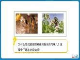 初中化学人教版九年级上册第三单元课题1 分子和原子 第1课时 课件