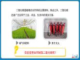 初中化学人教版九年级上册第六单元课题3 二氧化碳的实验室制取 课件