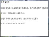 鲁教版（2024）初中化学九年级下册--7.1 酸及其性质（课件）