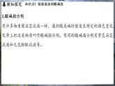 鲁教版（2024）初中化学九年级下册--7.3 溶液的酸碱性（课件）