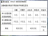 鲁教版（2024）初中化学九年级下册--7.3 溶液的酸碱性（课件）