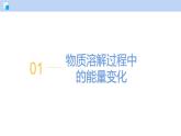 7.1 物质在水中的溶解（第2课时）-初中化学九年级下册同步教学课件+同步练习（沪教版2024）