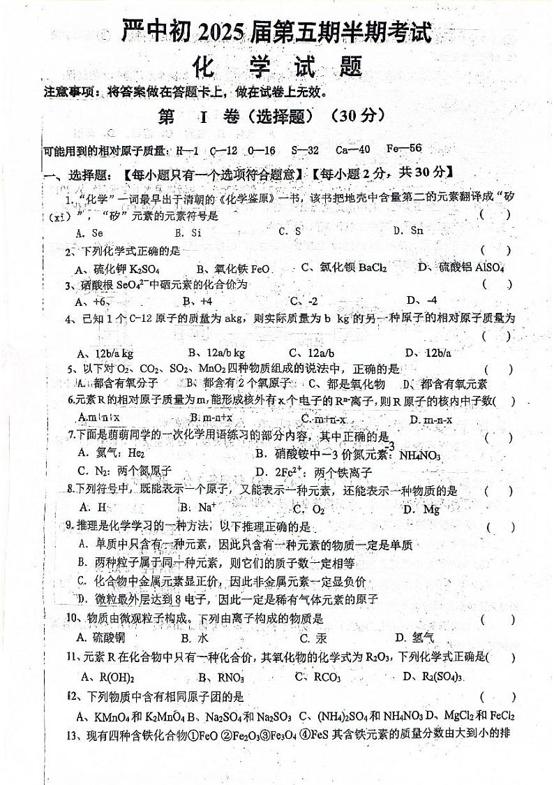 四川省内江市威远县严陵中学2024-2025学年九年级上学期11月期中考试化学试题第1页