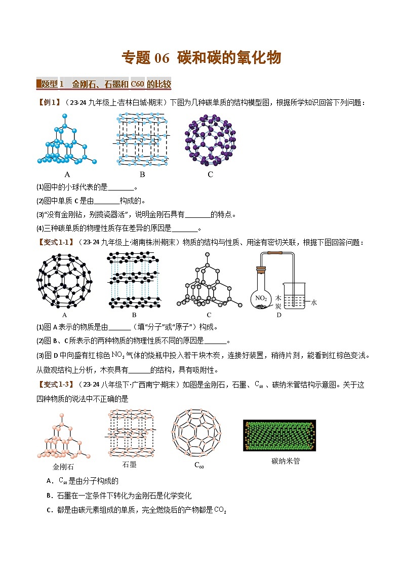 2024-2025学年人教版初中化学九年级上学期期末专题复习  专题06 碳和碳的氧化物 （考题猜想）第1页