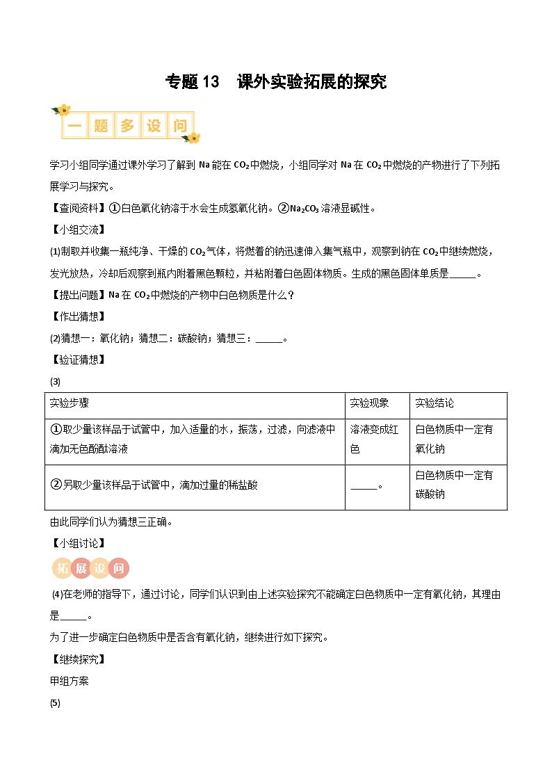 中考化学实验探究一题多设问专题13课外实验拓展的探究(原卷版+解析)第1页