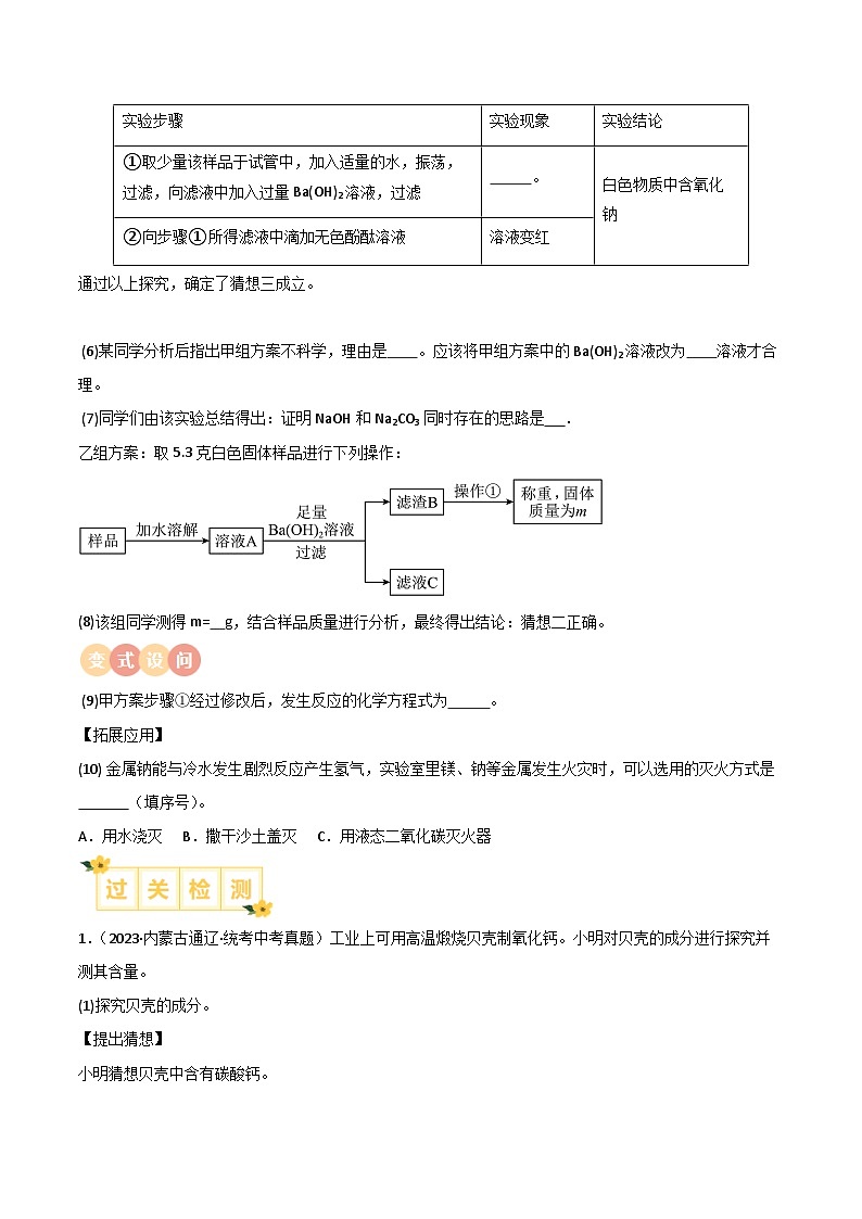 中考化学实验探究一题多设问专题13课外实验拓展的探究(原卷版+解析)第2页