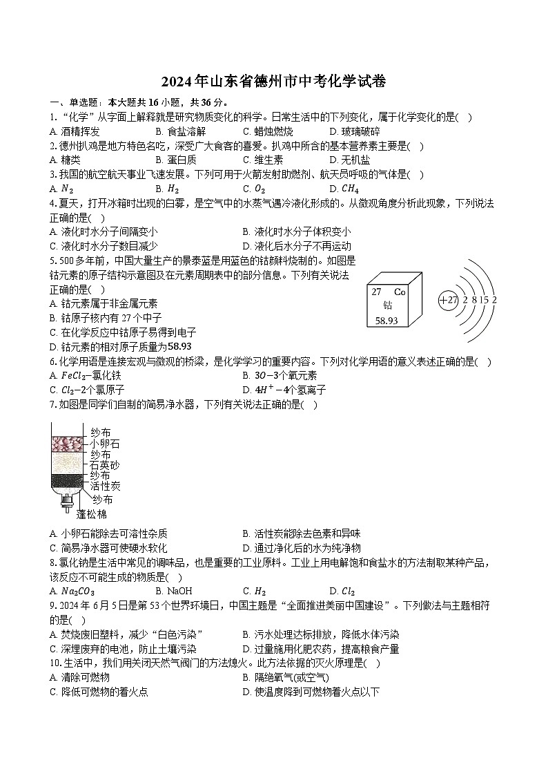 2024年山东省德州市中考化学试卷（含详细答案解析）第1页
