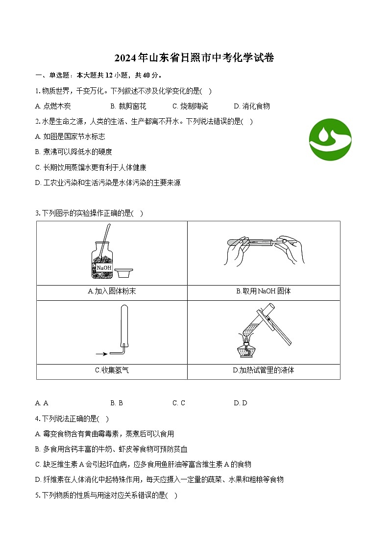 2024年山东省日照市中考化学试卷（含详细答案解析）第1页