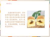【大單元整體教學(xué)】滬教版（全國）化學(xué)九年級(jí)下冊(cè)8.3 中和反應(yīng)（課件+大單元教學(xué)設(shè)計(jì)+課后作業(yè)）