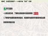 人教版2025春九年级化学下册第八单元 金属和金属材料 8.3.2  金属资源保护 课件