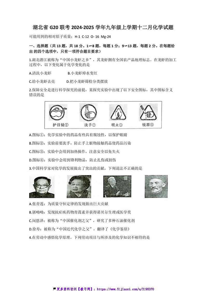 2024～2025学年湖北省G20联考(月考)九年级(上)十二月化学试卷(含答案)第1页