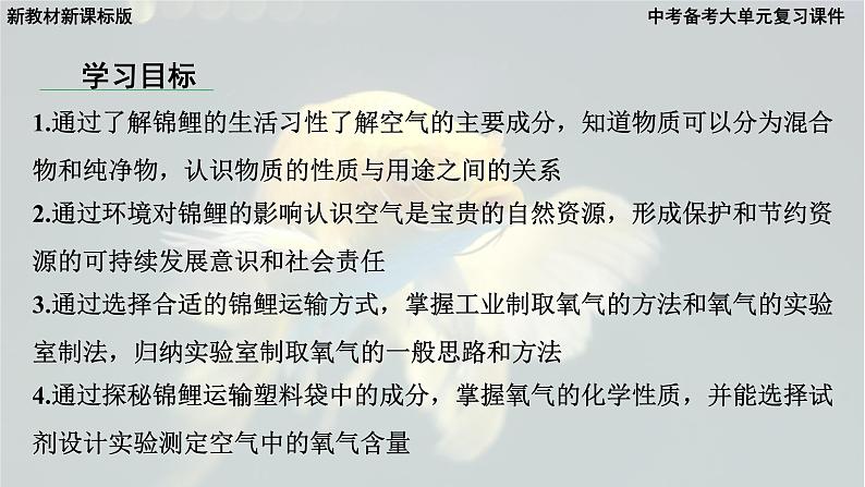 2025年中考化学一轮复习备考大单元复习 课件01： 空气和氧气 主题情境-锦鲤护航记第6页