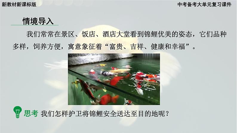 2025年中考化学一轮复习备考大单元复习 课件01： 空气和氧气 主题情境-锦鲤护航记第7页