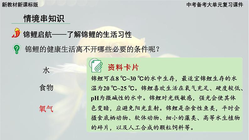 2025年中考化学一轮复习备考大单元复习 课件01： 空气和氧气 主题情境-锦鲤护航记第8页