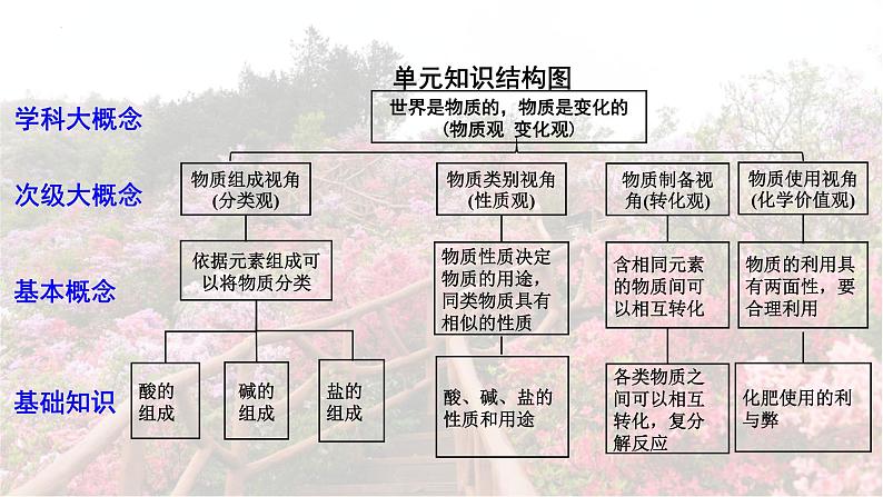 2025年中考化学一轮复习备考大单元复习 课件09： 常见的酸碱盐 课时1 常见的酸和碱 主题情境-拯救枯萎的杜鹃花第3页