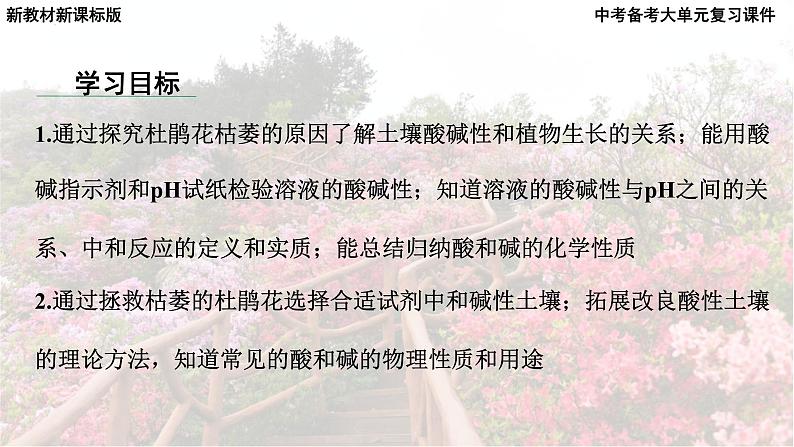 2025年中考化学一轮复习备考大单元复习 课件09： 常见的酸碱盐 课时1 常见的酸和碱 主题情境-拯救枯萎的杜鹃花第6页