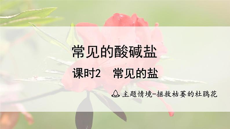 2025年中考化学一轮复习备考大单元复习 课件10： 常见的酸碱盐 课时2 常见的盐主题情境-拯救枯萎的杜鹃花第1页