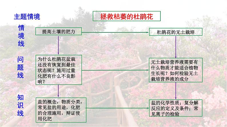 2025年中考化学一轮复习备考大单元复习 课件10： 常见的酸碱盐 课时2 常见的盐主题情境-拯救枯萎的杜鹃花第4页