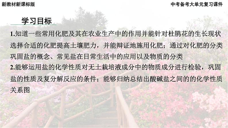 2025年中考化学一轮复习备考大单元复习 课件10： 常见的酸碱盐 课时2 常见的盐主题情境-拯救枯萎的杜鹃花第6页