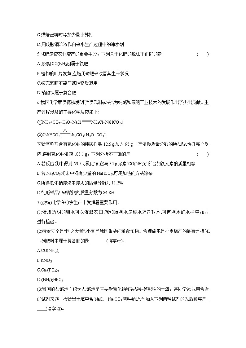 1.2.2 盐 化肥  -【专练】2025年中考化学（人教版）一轮考点研究练习（含解析）第2页