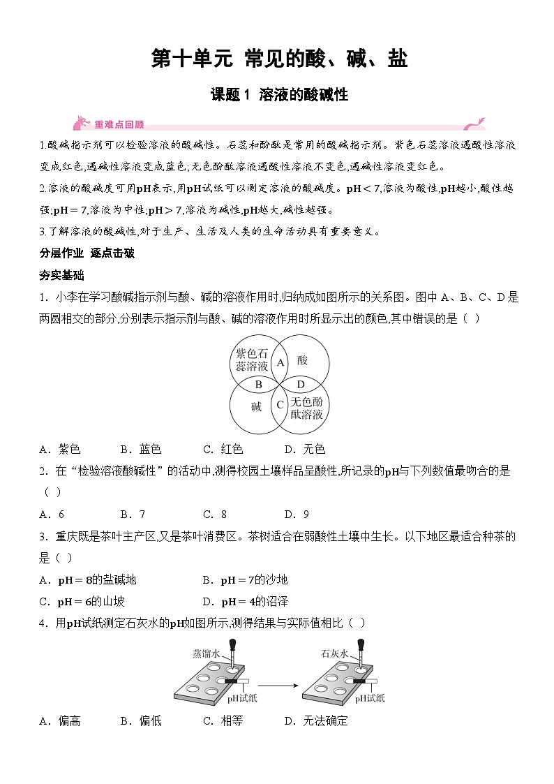 新人教版2024九年级下册化学10.1 溶液的酸碱性  课时作业  分层作业（含答案）第1页