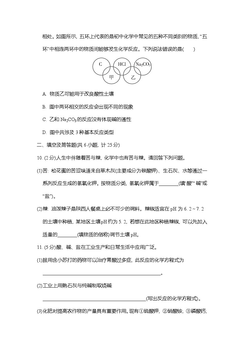 第十单元 常见的酸、碱、盐 综合素质评价试卷（含答案） 人教版（2024）化学九年级下册第3页