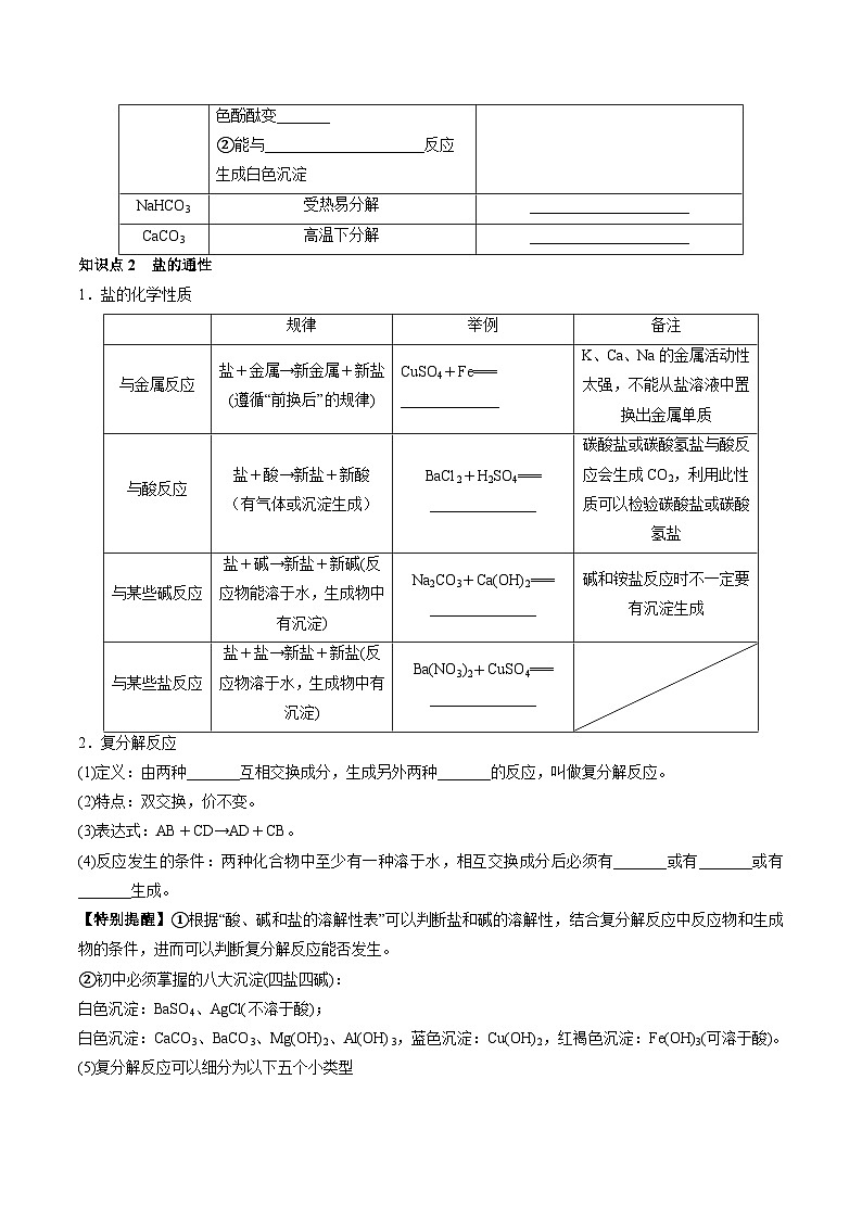 人教版中考化学一轮复习必考知识梳理与考法点拨第十一单元盐化肥(学生版+解析)第2页