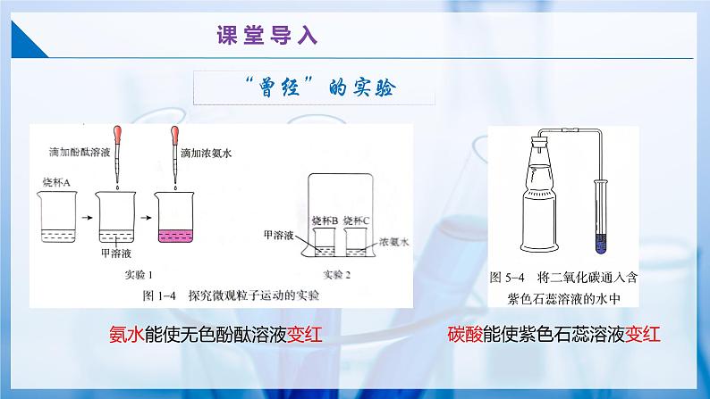 8.1 溶液的酸碱性（第1课时）（同步课件）第5页