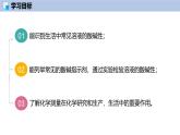 8.1 溶液的酸碱性（第1课时）-初中化学九年级下册同步教学课件（沪教版2024）