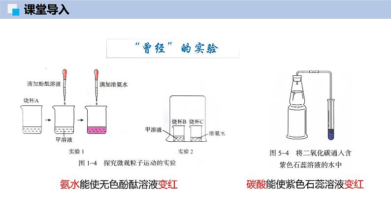 8.1 溶液的酸碱性（第1课时）-初中化学九年级下册同步教学课件（沪教版2024）第5页