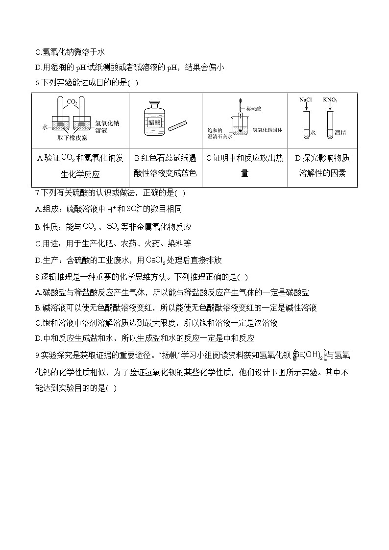 人教版（2024）九年级化学寒假作业 (10)常见的酸、碱、盐第2页