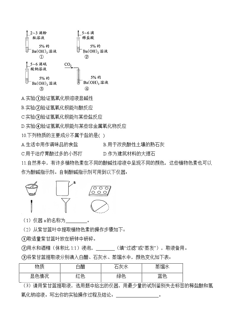 人教版（2024）九年级化学寒假作业 (10)常见的酸、碱、盐第3页