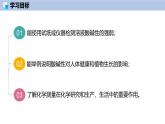 8.1 溶液的酸碱性（第2课时）-初中化学九年级下册同步教学课件+同步练习（沪教版2024）