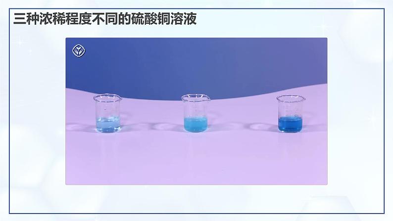 9.3 溶质的质量分数-初中化学九年级下册同步教学课件（人教版2024）第4页