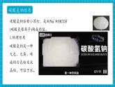 【新教材新课标】鲁教版化学九年级下册第8单元第3节《碳酸氢钠和碳酸钠》（课件+分层练习）