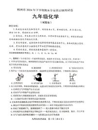 湖南省郴州市2024--2025学年九年级上学期期末学业质量抽测化学试卷