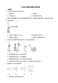 黑龙江省大庆市2024年八年级上学期化学期末考试试卷【附答案】