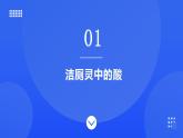 鲁教版初中化学九年级下册第七单元第一节第二课时酸的化学性质课件
