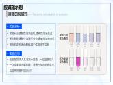 10.1 溶液的酸碱性-初中化学九年级下册同步教学课件+同步练习（人教版2024）