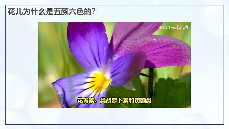 10.1 溶液的酸碱性-初中化学九年级下册同步教学课件（人教版2024）第8页