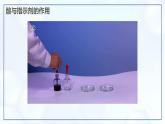 10.2 常見的酸和堿（第2課時）-初中化學(xué)九年級下冊同步教學(xué)課件+同步練習(xí)（人教版2024）