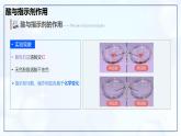 10.2 常見的酸和堿（第2課時）-初中化學(xué)九年級下冊同步教學(xué)課件+同步練習(xí)（人教版2024）