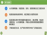 9.1溶液及其应用课件-2024-2025学年九年级化学人教版2024下册